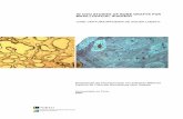 IN VIVO · JV Lobato, N Sooraj Hussain, CM Botelho, JM Rodrigues, AL Luís, AC Maurício, MA Lopes, JD Santos (2005) Assessment of the Potential of Bonelike® Graft for Bone Regeneration