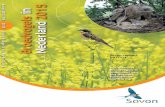 in 2015 Broedvogels Nederland - Amazon Web Services · 2018-10-25 · ten waarvoor de Zoete Rijkswateren van belang zijn (Tafeleend, Porseleinhoen, Waterhoen, Oeverloper). De Kievit,
