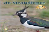 50 1 9 6 6 - 2 016 · 2018-05-03 · Vogelbescherming Nederland en Sovon hebben het jaar 2016 uitgeroepen tot jaar van de Kievit. Dat betekent dat het niet goed gaat met deze soort.