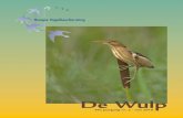 De Wulp - haagsevogels.nl...De Wulp 49e jaargang, nr. 2, mei 2018 COLOFON De Wulp is een kwartaaluitgave van de Haagse Vogelbescherming die gratis wordt toegezonden aan de leden. Wulp
