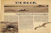 UIBEE~ - inzichten.nl...n881' het vogelparadijs .,De Beer", de Westpunt van het eiland Rozenburg. Het is geen verrassende ontdekkings reis, die u gaat ondernemen, Mis schien was u