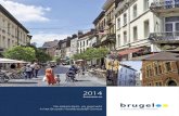2014 - BRUGEL...In 2014 bedroeg de totale hoeveelheid elektrische energie die door alle leveranciers in het Brussels Hoofdstedelijk Gewest werd geleverd 5.27 TWh (excl. de verliezen