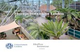 Jaarverslag 2019 Hortus botanicus Leiden...nieuwe vaste presentatie Overlevers vormt het startpunt voor een bezoek aan de Hortus. Dit jaar stond het jaarthema Beter met planten centraal.