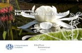 Jaarverslag 2017 Hortus botanicus Leiden...Voorwoord 2017 was een bijzonder jaar, met een record aan-tal bezoekers van 178.536, bijna een kwart meer dan in 2016. Daarmee staat de Hortus