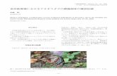 ns-r-52 08 p51-53－ 52 － 自然教育園報告 第52号：51－53, 2020. 図2．アサギマダラの放蝶場所（福島県）と確認場所（東京都）の位置図（約235Km）．