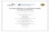 Final - Energy Efficiency and Renewable Energy in Florida ...floridaenergy.ufl.edu/wp-content/uploads/Final... · 3/22/2010  · Incentive Programs and Their Availability in Florida.....110