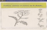 Toulourenc Horizons - Vallée du Toulourenc - Mont-Ventoux · 2018-11-19 · Départ : Porche du haut du village Le départ de cette balade botanique s'effectue sous leporche du haut