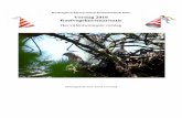 Verslag 2019 Roofvogelinventarisatie · 2019-12-13 · soorten zichtbaar worden. De werkgroep signaleert ook gevallen van roofvogelverstoring en - vervolging en meldt die aan de terreinbeheerders.