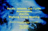 Pacific-Atlantic Sea Turtle Assessment (PASTA) Working Group … › ... › heppell_lutcavage_turtle.pdf · 2005-11-29 · ¾To assemble a unique group of modelers, oceanographers,