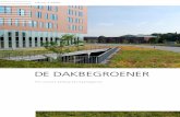 DE DAKBEGROENER · 1.500 m² op het hoogst gelegen dek („The Lawn club“) op 36 meter hoogte. Volgens de eigenaar van het schip is deze dakbegroening of beter gezegd „dekbegroening“