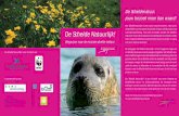 De Schelde Natuurlijk!De ‘Schelde Natuurlijk!’ is een initiatief van zeven Vlaamse en Nederlandse natuur- en milieuorganisaties. De campagne moet bijdragen tot een natuurlijk Schelde-estuarium,