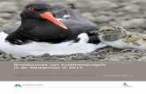 Broedsucces van kustbroedvogels in de Waddenzee …...2.4 Analyses en presentatie gegevens 18 2.5 Bijzondere omstandigheden in 2017 19 3 Resultaten 21 3.1 Algemeen 21 3.2 Lepelaar