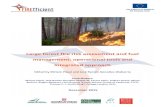 REPORT Firefficient fire risk assessment and fuel ...firefficient.ctfc.cat/.../REPORT_Firefficient_fire...fuel-management1.pdf · Large forest fire risk assessment and fuel management: