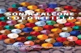 SONIA FALCONE COLOR FIELDsoniafalcone.com/wp-content/uploads/2016/11/biennale-venice.pdfsepia, índigo, rojo, verde, blanco, amarillo, rosa, fucsia, violeta, naranja, ocres y azules