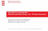Online aanpak Radicalisering en Polarisatie · 2018-03-19 · Voor de online aanpak zal de gemeente Amsterdam een team samenstellen bestaande uit drie personen die kennis hebben van