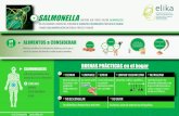 Infograma Salmonella - Elika · Infograma Salmonella Author: Fundación ELIKA Fundazioa Subject: Infograma Salmonella Keywords: Riesgo Biológico; Salmonella Created Date: 1/22/2013