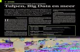 VAKTENTOONSTELLING ZWAAGDIJK: Tulpen, Big Data en meer17.45 – 22.00 uur Gastspreker dr. Frans Feldberg over Big Data Vrijdag 17 februari 13.30 – 15.00 uur Bijeenkomst ‘Waarde