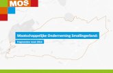 Maatschappelijke Onderneming Smallingerlandmosweb.nl/SiteMOS/pdfs/Infographic 2016.pdf · 2019-06-18 · Het Treft’t Team bestaande uit wijkverpleegkundigen, woonconsulenten, wijkagenten,