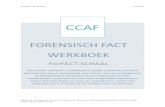 FORENSISH FA T WERKOEK - CCAF€¦ · psychiatrische zorg en behandeling voor mensen met een verhoogd risico op delictgedrag in combinatie met ... en verslaving, of een combinatie