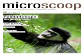 microscoop - Zéro Déchet Touraine · 2020-04-05 · Les colobes noir et blanc de la rivière de l’Omo et des montagnes de Djaffa (i.e., Colobus guereza) sont emblématiques du