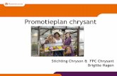 Promotieplan chrysant - Royal FloraHolland · 21-5-2013 3 . Probleemstelling 4 21-5-2013 1. Kennis & Verkrijgbaarheid ... werken voor het chrysantenvak. Voorstel: 1. ... van 0,06%,