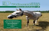 Nieuwsbrief juni ‘18 - Stal Prinsenburg · Verder wat leuke kiekjes van de paarden die genieten in onze wei! We komen wat meer te weten over onze pensionklant Lola en haar pony
