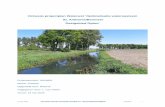Ontwerp projectplan Waterwet Optimalisatie watersysteem St ...€¦ · Het projectplan treedt na vaststelling in werking, ook al wordt er een bezwaar- of beroepschrift ingediend.