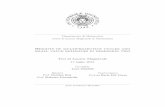 Heights of multiprojective cycles and small value ... magistrale.pdf · Dipartimento di Matematica Corso di Laurea Magistrale in Matematica Heights of multiprojective cycles and small
