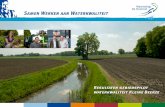 Samen Werken aan Waterkwaliteit - Overland gebiedspilot Beerze.pdf · 2013-09-05 · plannen worden vanaf 2009 uitgevoerd. De resultaten van de gebiedspilots kunnen wor-den gebruikt
