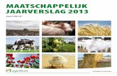 Maatschappelijk jaarverslag 2013 - Agrifirm...1. Agrifirm, schakel in succes 5 1.1 Onze missie 5 1.2 Acquisities en samenwerking 5 1.3 Coöperatiedagen 6 2. Kiezen voor duurzaamheid