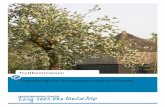 Fruitboomrassen Toepassing van fruitboomrassen in Drenthe · 2019-05-03 · Colofon Titel Toepassing van fruitbomen in Drenthe Ontwerper Landschapsbeheer Drenthe Kloosterstraat 11