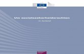 in Ierland - European Commission s… · Juli 2012 3 Inhoudsopgave Hoofdstuk I: Inleiding, organisatie en financiering ... Financiering ... minder dan 38 EUR per week verdienen (in