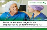 Trans thoracale echografie als diagnostische ondersteuning op IC · 2019-05-28 · Flowchart 12 . Flowchart 13 . Flowchart 14 . Flowchart 15 . Trans thoracale echo ... 80,29 (±22,05)