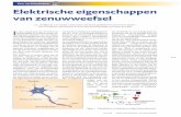 Ken uw klassieken Elektrische eigenschappen van …...223 juni 2008 Nederlands Tijdschrift voor Natuurkunde Elektrische eigenschappen van zenuwweefsel Ken uw klassieken A.L. Hodgkin