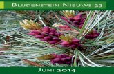 BLIJDENSTEIN NIEUWS 33 - Pinetum nieuws... · De wandeling geeft een beeld van het 19e-eeuwse Hilversum en ... bordje (zie ook het juninummer van 2012). Intussen hebben we een enor-me