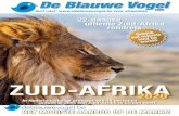 ZUID-AFRIKA - De Blauwe Vogel · 2019-08-08 · een safari in het 22000ha groot wildreservaat. Ons verblijf voor deze nacht ligt aan de voet van de Waterberg. Overnachting: Entabeni