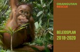 BELEIDSPLAN 2018-2020 - Orangutan Rescue · Orangutan Rescue beschermt de orang-oetan en zijn leefgebied. Strategie Om onze doelstelling te realiseren, ondersteunen wij het Sintang