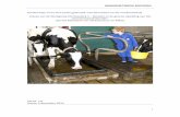 Onderwijs over het juist gebruik van biociden in de veehouderij · 2018-05-03 · meewerken aan docentendagen). Dit gastcollege heeft ook geresulteerd in een uitnodiging van DIGO