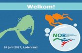 TITEL VAN DE SLIDE - NOB · • De doe-het-zelf-duiker is de meest actieve duiker (gemiddeld 102 duiken per jaar) én Nederland-duiker (68x per jaar). • De avonturier is degene