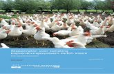 Stappenplan voor toelating kopverdovingssysteem Dutch Vision · en E) worden op basis van hersenactiviteit beoordeeld waarbij dieren aan de eerder omschreven parameters zijn blootgesteld.