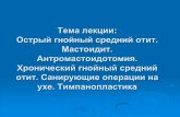 Тема лекции Острый гнойный средний отит ...nmu.ua/wp-content/uploads/2017/04/Lektsyya-1-rus.pdfСтроение уха Травматический