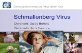 Schmallenberg Virus - DGZ...2012/02/03  · (Drenthe, Flevoland) 24 januari ‐2 misvormde kalveren PCR positief Historiek SBV kalf 15 • Vanaf december 2011 eerste meldingen van