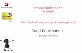 Ruud Bourmanne Hans Haack - Sensus process management...VVSG Traject naar Uitmuntendheid (sinds 2010) • Vertaald naar de taal, vakjargon en (werk)praktijk van: – WZC, DGAT, GAW,