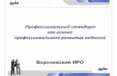 Профессиональный стандарт как основа …school4-dinsk.ru/images/DOC/MetodRab/profstand2.pdf · первого уровня Стандарт b.1.1
