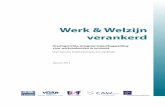 Werk & Welzijn verankerd - Kennisplein.be werken... · 2015-01-14 · b) Omgaan met gaten in het CV 74 c) Mindmap 74 3.2 Eerste acties op terreinen van welzijn en werk 77 3.2.1 Instrumenten