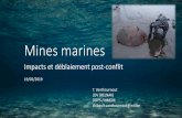 Mines marines · 2019-02-25 · de kracht van de explosie overboord. De derde persoon overleed op het vaartuig. Aan boord waren in totaal zes bemanningsleden. Op het moment van de