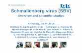 Schmallenberg virus (SBV) - European Commission · Overview and scientific studies Brussels, 08.04.2014 Veldhuis A, Santman-Berends I, Gethmann J, Holsteg M, Höreth-Böntgen D, Conraths