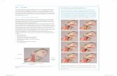 De hals is goed toegankelijk voor eenvoudig onderzoek Het ... · corpus mandibulae aan te leggen en de eindfalangen eromheen te vouwen. Vaak is de glandula subman-dibularis nét te