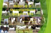 Welkom op de fokkersbijeenkomst Boergeiten 2016 · Boergeiten 2016 26 maart 2016 Sociaal centrum “de Kiekmuure”, Harderwijk. Agenda: ... Namens de scholingscommissie: Wim van
