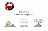 Condrieu Le roi du viognier? · 2011-11-02 · • Van 6.000 tot 10.000 wijnstokken per hectare – Wijnstokken zoeken in de diepte naar water – Rendement wordt beperkt – Snoeiwijze